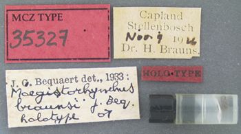 Media type: image;   Entomology 35327 Aspect: labels
